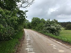 339_iP_220531_IMG_5822