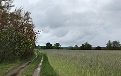 341_iP_220531_IMG_5824