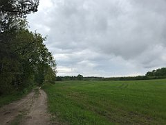 359_iP_220531_IMG_5838