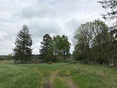 369_iP_220531_IMG_5847