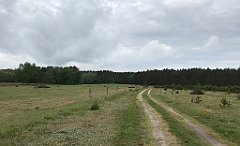 372_iP_220531_IMG_5849