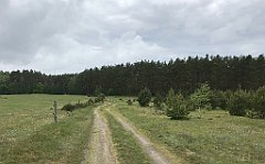 373_iP_220531_IMG_5850