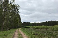 379_iP_220531_IMG_5854