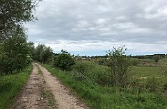 381_iP_220531_IMG_5856