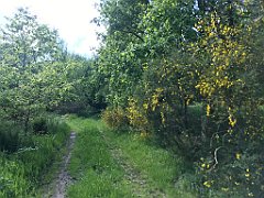 415_iP_220531_IMG_5878