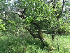 417_iP_220531_IMG_5881