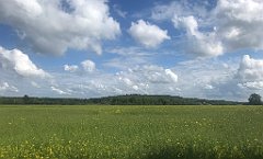 446_iP_220531_IMG_5914