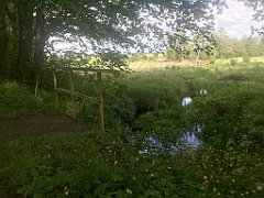 458_iP_220531_IMG_5927