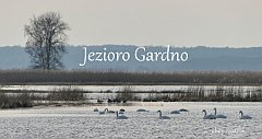 2022_02_13_Jezioro_Gardno