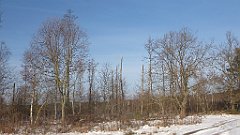 035_0095_3D_P1380395