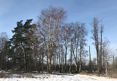 038_0104_iP_230209_IMG_6543