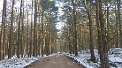 057_0161_3D_P1380416