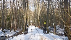 061_0173_3D_P1380420