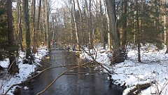 063_0179_3D_P1380422