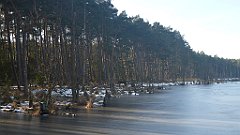 116_0338_3D_P1380446