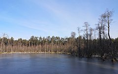 121_0351_p20_IMG_20230209_111851