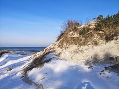 157_0461_p20_IMG_20230209_121219