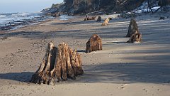 187_0551_3D_P1380484