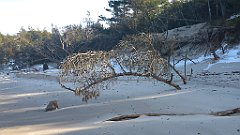 189_0557_3D_P1380486