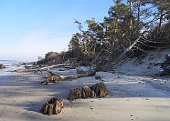 191_0563_p20_IMG_20230209_124527