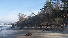 198_0584_3D_P1380492