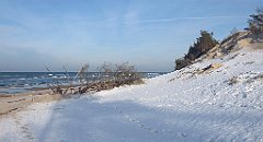 267_0791_3D_P1380521