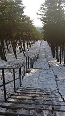 278_0824_3D_P1380530