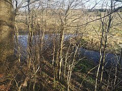 019_p20_IMG_20230406_174244