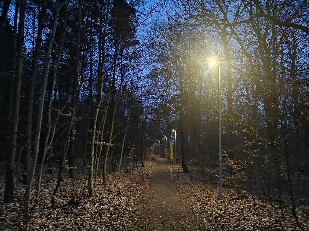 229_p20_IMG_20230414_201654.jpg - bsh