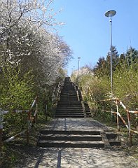 015_p20_IMG_20230423_122531