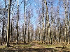 048_p20_IMG_20230423_124927