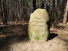 100_p20_IMG_20230423_134655