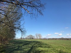 062_iP_230427_IMG_6702