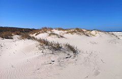 067_p20_IMG_20230430_105835