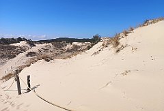 085_p20_IMG_20230430_111740