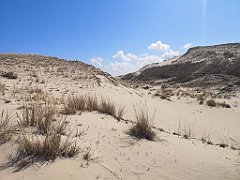 088_p20_IMG_20230430_111831