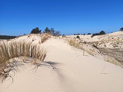 102_p20_IMG_20230430_112306