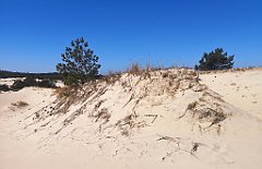 105_p20_IMG_20230430_112328