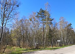 135_p20_IMG_20230430_121741