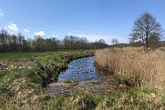 156_iP_230430_IMG_6720