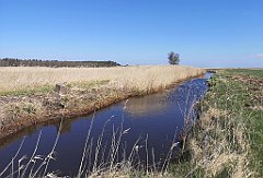 157_p20_IMG_20230430_123509