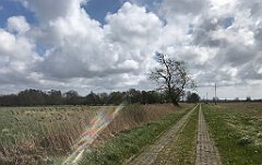 195_iP_230430_IMG_6730