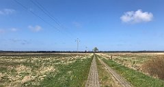 197_iP_230430_IMG_6733