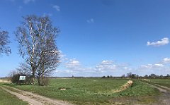 288_iP_230430_IMG_6746