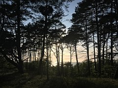 068_iP_230529_IMG_6762