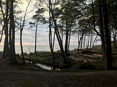 103_iP_230529_IMG_6775