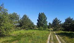 018_p20_IMG_20230602_085754