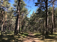 024_iP_230602_IMG_6780