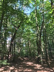 211_iP_230602_IMG_6825