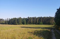 012_p20_IMG_20230608_080502